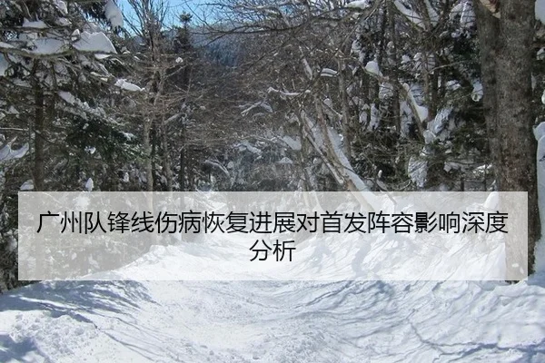 guang-zhou-dui-feng-xian-shang-bing-hui-fu-jin-zhan-dui-shou-fa-zhen-rong-ying-xiang-shen-du-fen-xi-2-548.jpg